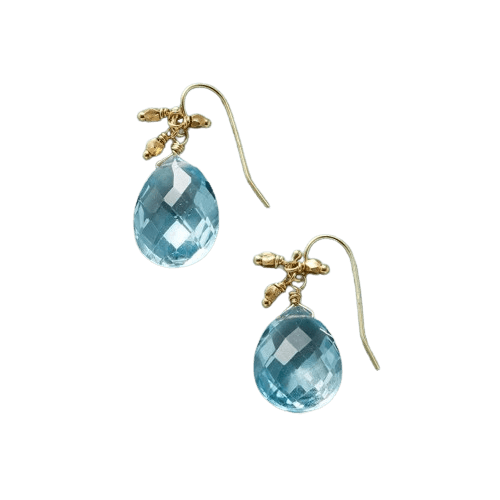 BLUE CRYSTAL DANGLE EARRING